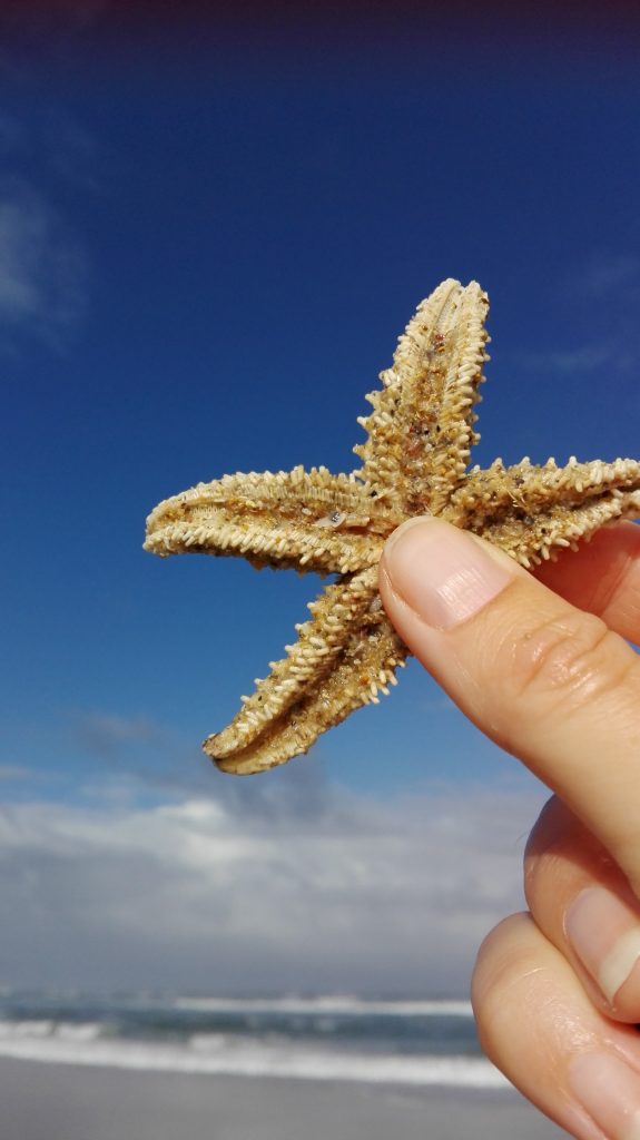 Find yourself in Finisterre