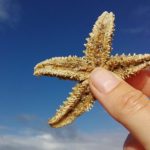 Find yourself in Finisterre